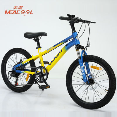 Childrens Lightweight Mountain Bikes 20in